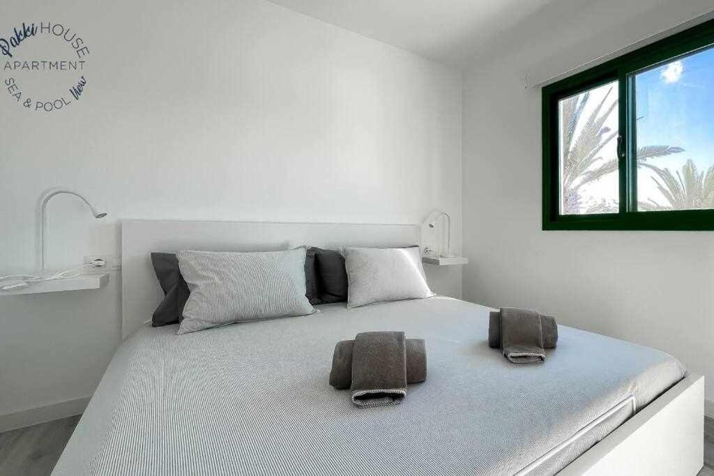 코라레호 San Valentin Pakky House 아파트 외부 사진