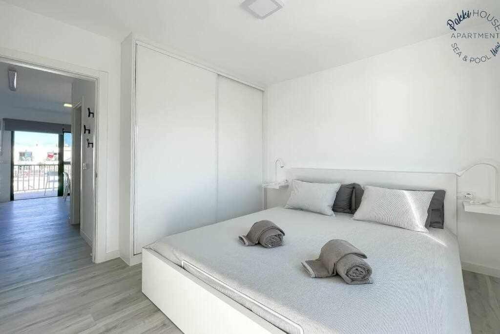 코라레호 San Valentin Pakky House 아파트 외부 사진